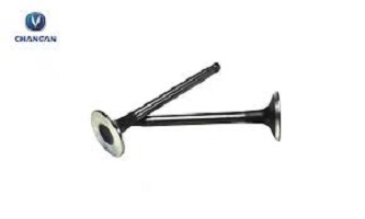 خرید و قیمت سوپاپ دود و هوا چانگان 💥